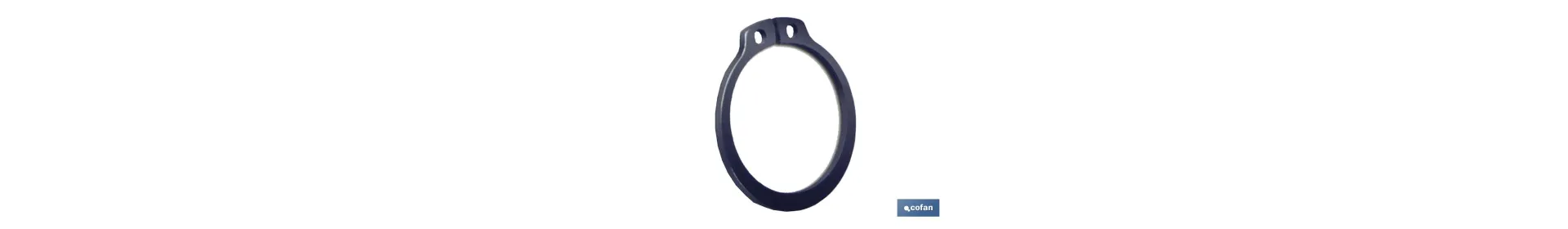 ANILLOS SEEGER