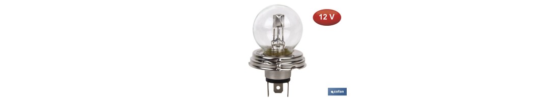 Lámpara Foto Europeo (P45t ASY) 12V 40V/45W | Pack 10 uds