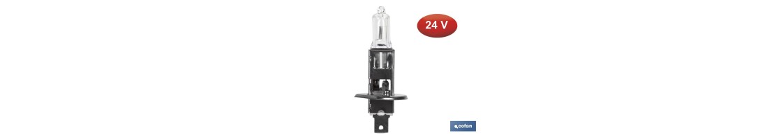 Lámpara halógena H1 (P14,5S) 24 V 70 W | Pack: 10 unidades