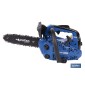 Motosierra de poda de gasolina | Motor de 2 tiempos | Espada de 10 | Potencia: 0,9 CV | Sistema antivibración