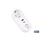 Enchufe inteligente con USB y tipo C | Conexión WiFi y Bluetooth | Aplicación: Smart Life o Tuya | Compatible con Alexa y Googl