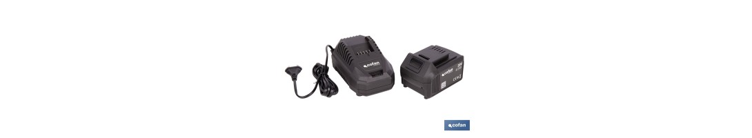 Pack de cargador 20 V 4.5 A + Batería 20 V 4.0 Ah Li-Ion | Compatible con sistema 1 for All | Protección contra sobrecarga y la