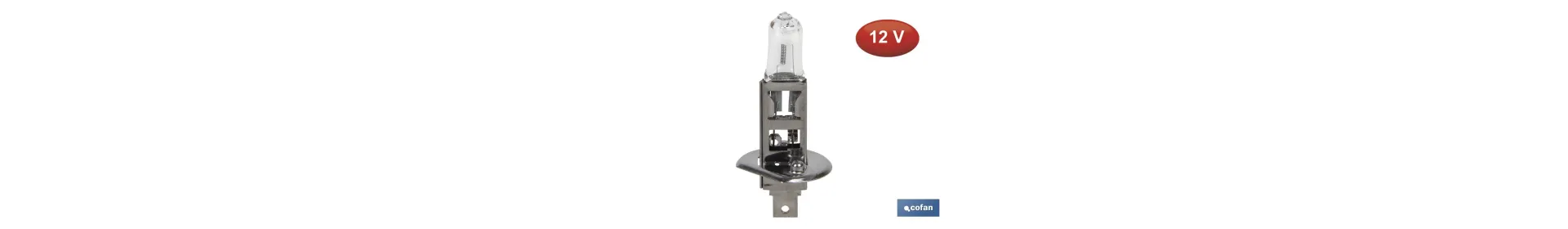 Lámpara Halógena H1 (P14,5S) 12V 55W | Pack: 10 uds
