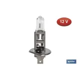 Lámpara Halógena H1 (P14,5S) 12V 55W | Pack: 10 uds