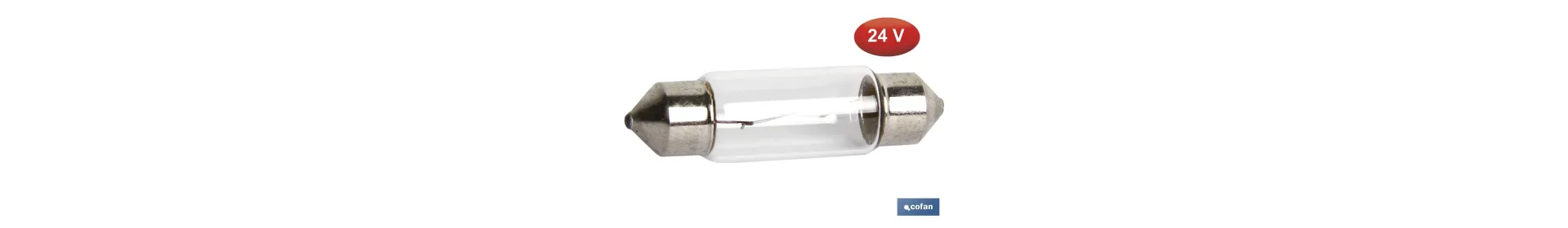 Lámpara plafonier C10W 24 V | Medida: 11 x 38 mm