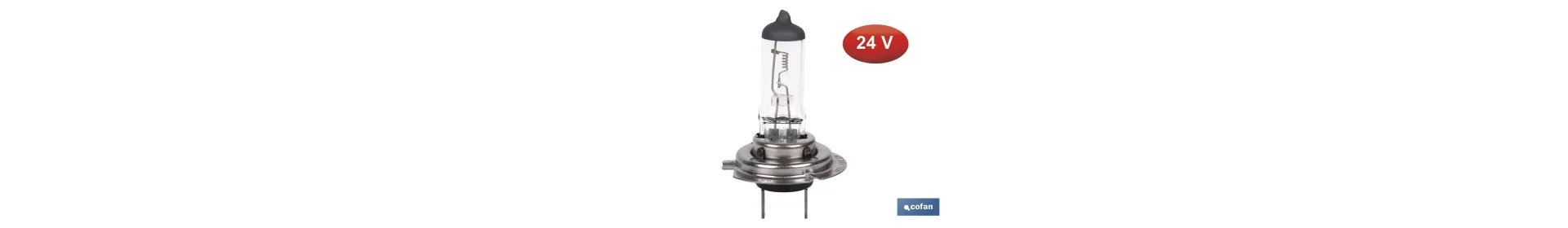 Lámpara halógena H7 (Px26d) 24 V 70 W | Pack: 10 unidades