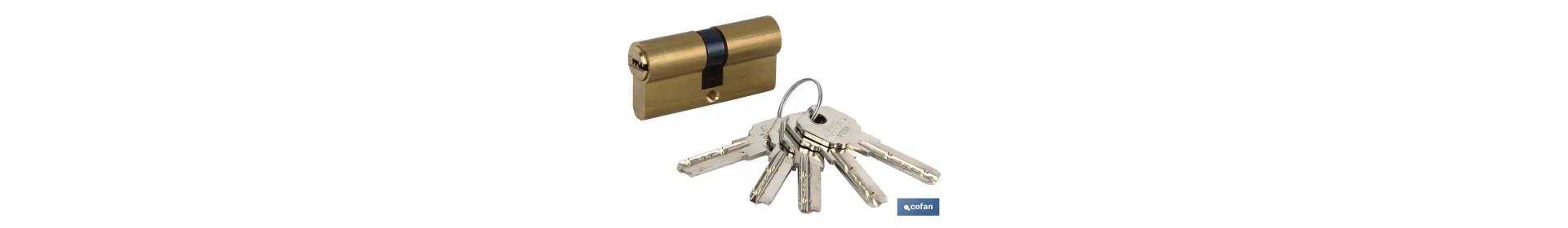 Cilindro Seguridad Llave Normal Leva Larga