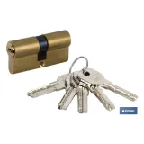 Cilindro Seguridad Llave Normal Leva Larga