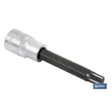 Llave de vaso de 1/2 | Fabricada en acero al cromo vanadio de alta calidad | Con punta larga Torx desde 20 hasta 55