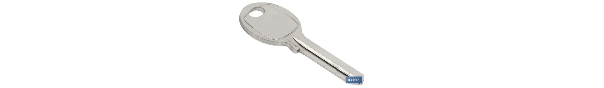 LLave Bruto Candado 50 MM