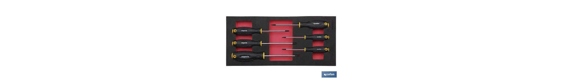Módulo de espuma con herramientas  | Para 1/3 cajón del carro de herramientas cofan | Destornilladores torx 6 piezas