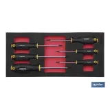 Módulo de espuma con herramientas  | Para 1/3 cajón del carro de herramientas cofan | Destornilladores torx 6 piezas