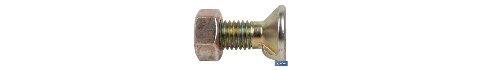 Tornillo de arado DIN 604 | Cuello cuadrado | Tuerca hexagonal DIN 934 incluida | Clase 8.8 | Disponible en diferentes medidas