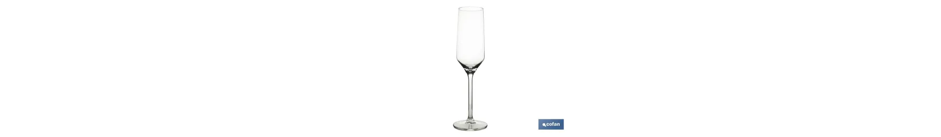Pack de 6 copas de Champagne | Capacidad: 22 cl