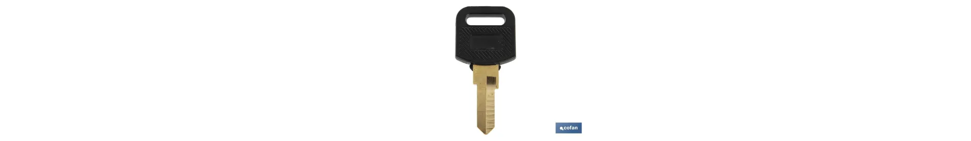Llave en bruto adecuada para los buzones Cofan