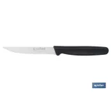 Pack de 25 cuchillos de cocina microdentados | Mango ergonómico | Hoja inoxidable de 10,5 cm