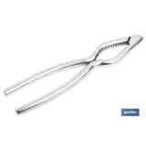 Cascanueces de acero inoxidable | Adecuado para frutos secos | Material: Acero inoxidable AISI 420 | Longitud: 18 cm