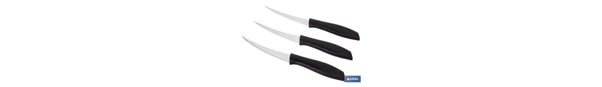 Pack de 3 cuchillos para fruta y verdura con mango ergonómico | Hoja de acero inoxidable | Longitud de la hoja: 10 cm
