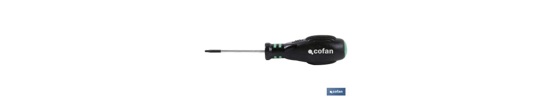 Punta para atornillador de Acero | Modelo 1/4 Torx | Longitud 25 y 50 mm