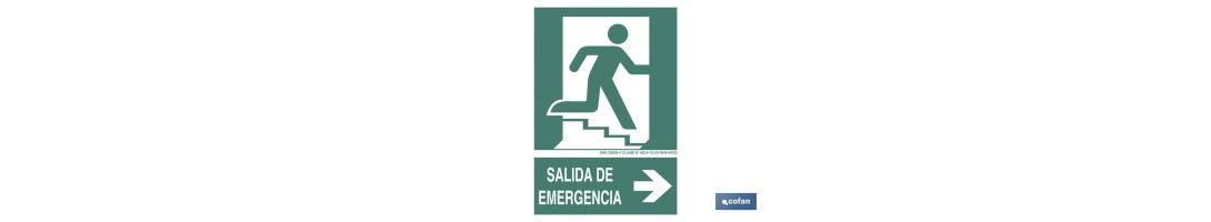 Salida de Emergencia Texto