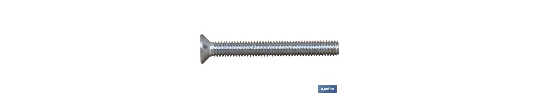 Tornillo DIN 965 Zincado