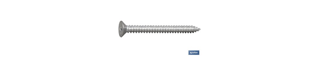 Tornillo Roscachapa Cabeza Avellanada Phillips Zincado