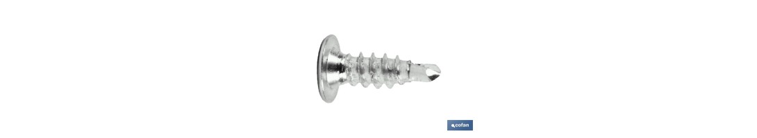 Tornillo autotaladrante cabeza extraplana Phillips INOX