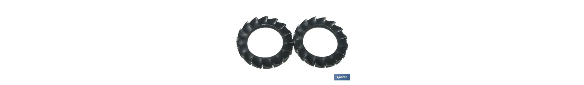 Arandelas Elásticas en Abanico Dentado Exterior DIN 6798 Blíster Estándar