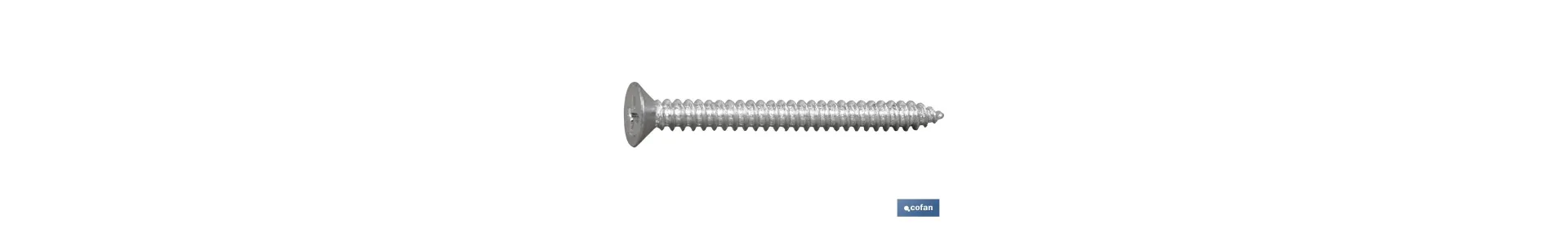 Tornillo Roscachapa DIN 7982