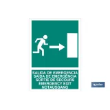 Salida de Emergencia Texto