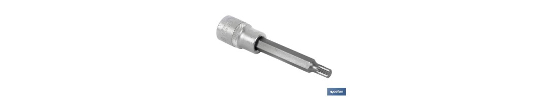Llave de vaso de 1/2 | Fabricada en acero al cromo vanadio de alta calidad | Con punta larga XZN 10