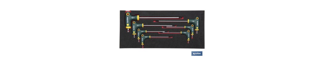 Módulo de espuma con herramientas | Para 1/3 cajón del carro de herramientas cofan | DEST- T PUNTA TORX