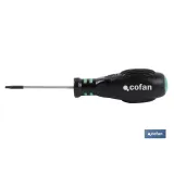 Punta para atornillador de Acero | Modelo 1/4 Torx | Longitud 25 y 50 mm