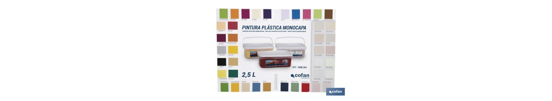 Carta de Colores para Pintura Plástica Monocapa con 40 Muestras de Color